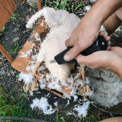 🐔 Prenosný elektrický šklbač peria — Čisté kura za 60 sekúnd