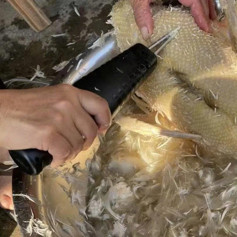 🐔 Prenosný elektrický šklbač peria — Čisté kura za 60 sekúnd